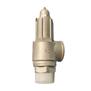 HP500 Spring-loaded safety valve 7002153011